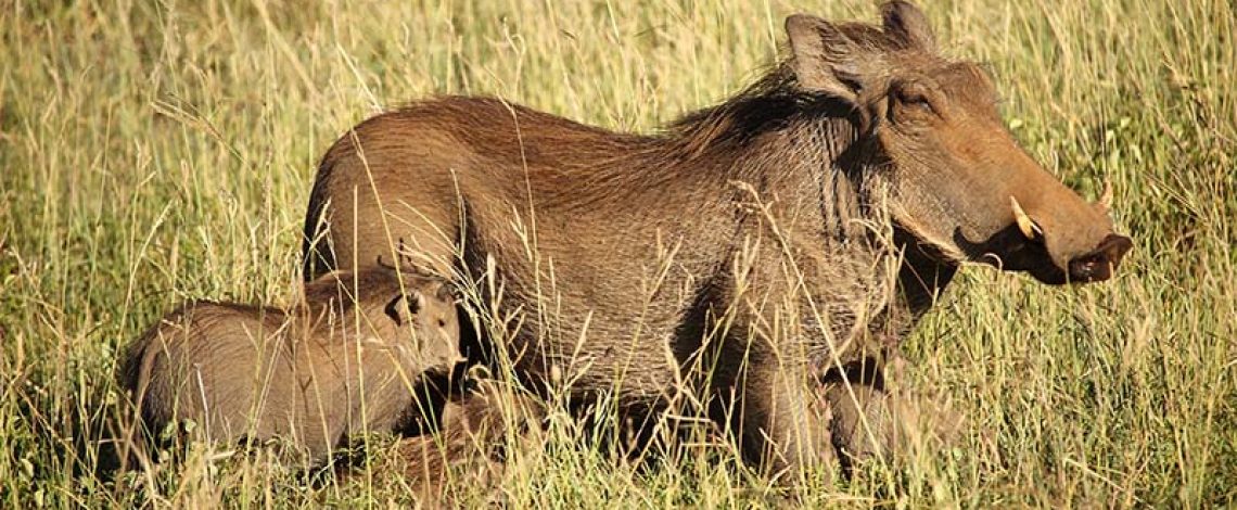 Financiamiento al desarrollo productivo regional