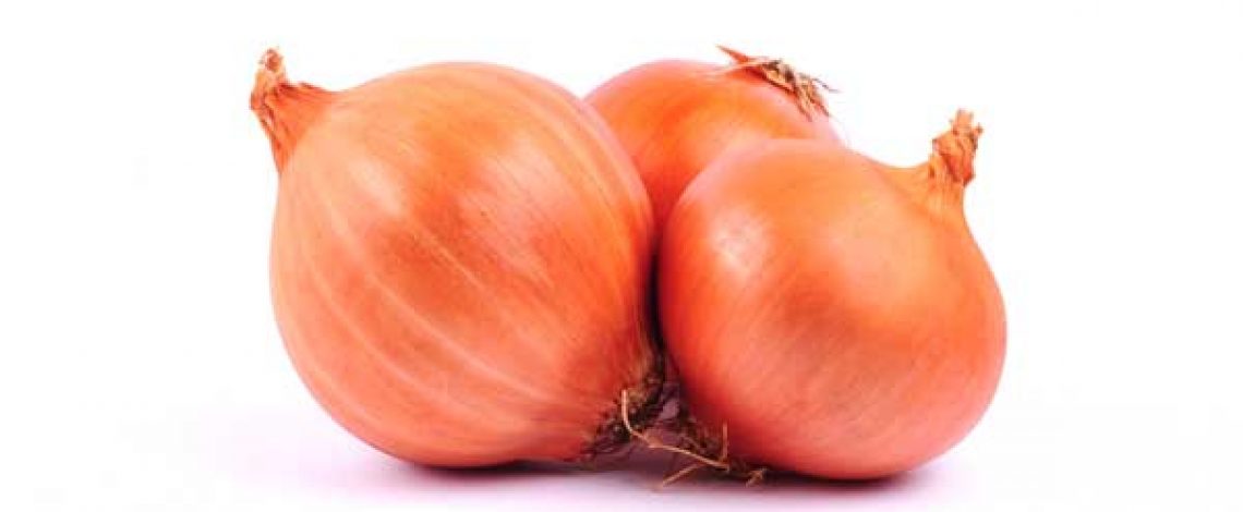 Situación nacional de la cebolla