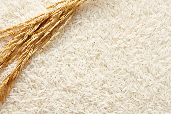 arroz y espigas