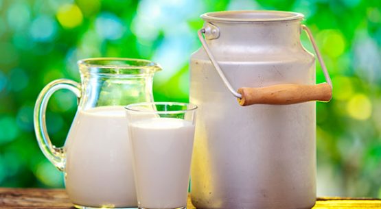 Situación actual y perspectivas de la leche
