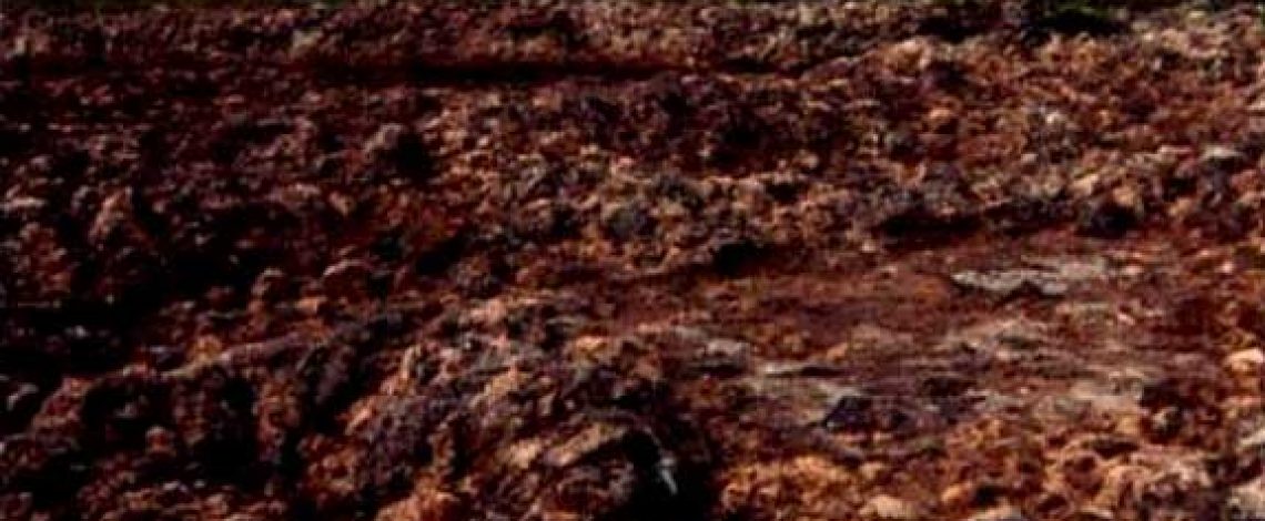 Informe final del estudio acerca de las turberas productoras de musgo en la Región de Los Lagos