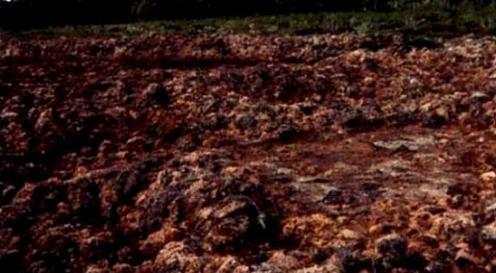 Informe final del estudio acerca de las turberas productoras de musgo en la Región de Los Lagos