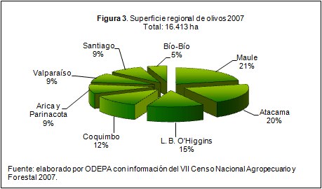Figura 3: superficie regional de olivos 2007