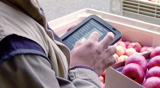 Estudio de satisfacción de clientes de Odepa año 2010