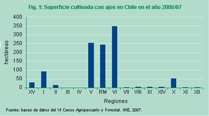 Figura 1: superficie cultivada con ajos, en Chile 2006/07