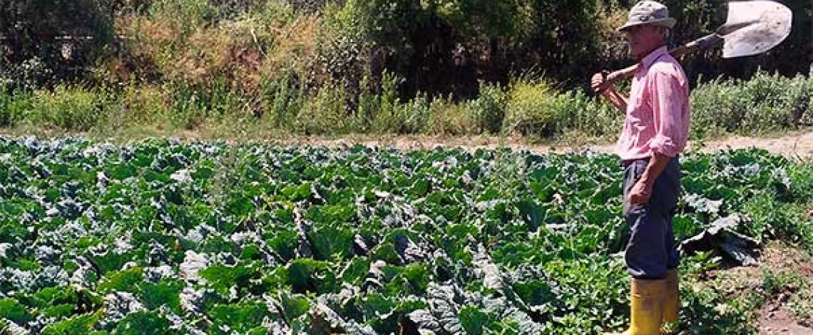 Caracterización de la pequeña agricultura en Chile