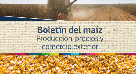 Boletín del maíz: producción, precios y comercio exterior. Agosto de 2014
