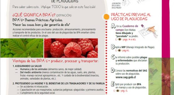 Análisis y desarrollo de un fascículo autoeducativo piloto para pequeños agricultores