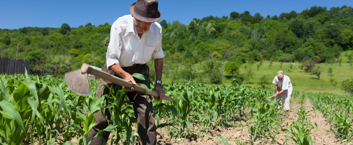 Estudio: Acceso a la tierra en la agricultura familiar campesina como factor de desarrollo
