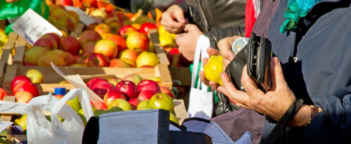 Análisis de los efectos de la variación del tipo de cambio en los principales rubros de la agricultura chilena