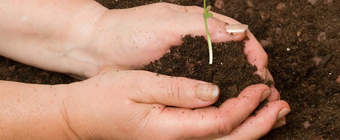 Estudio de Financiamiento Agrícola: Instrumentos disponibles, coberturas, innovaciones y desafíos pendientes