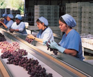 Temas de genero mujeres