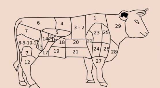 Caracterización y usos de los cortes de carne de vacuno
