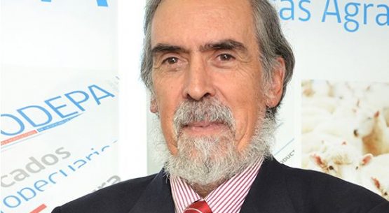 Director de Odepa comienza hoy una gira oficial a Brasil