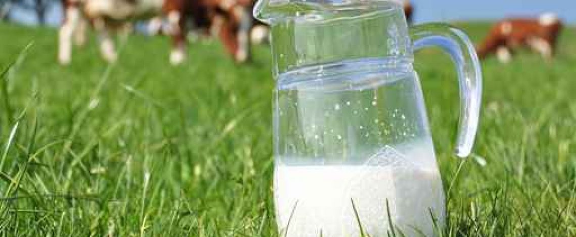 Costos y competitividad de la producción lechera