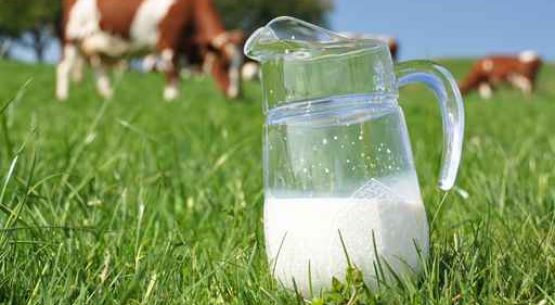 Recepción de leche en plantas