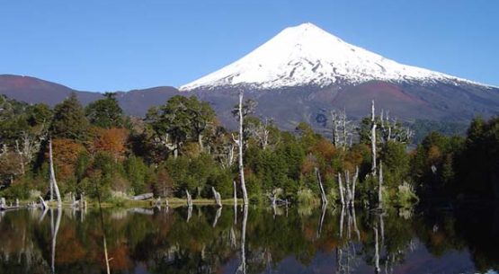 El precio de la tierra en la región de La Araucanía