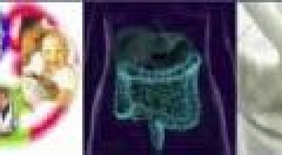 Avances en nutrición y alimentación funcional