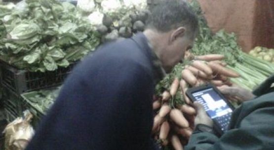 El trabajo de los reporteros de mercado de Odepa