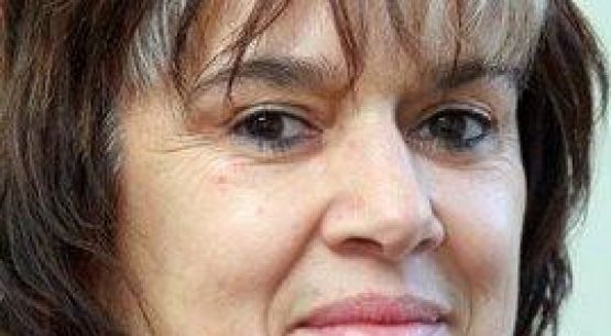 Mañana profesional de Odepa dicta charla