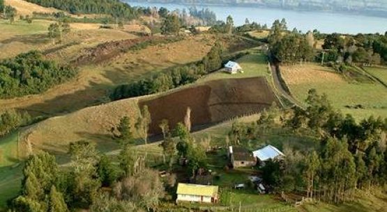 Ministro de Agricultura recibe el registro de la marca Sipam Chiloé