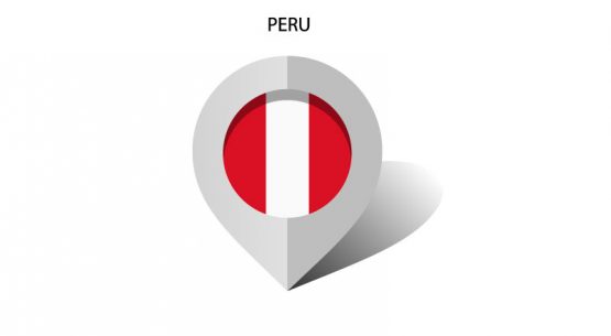Chile – Perú: comercio agropecuario y forestal