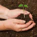 Rol de la mujer en la conservación y uso sostenible de la biodiversidad agrícola