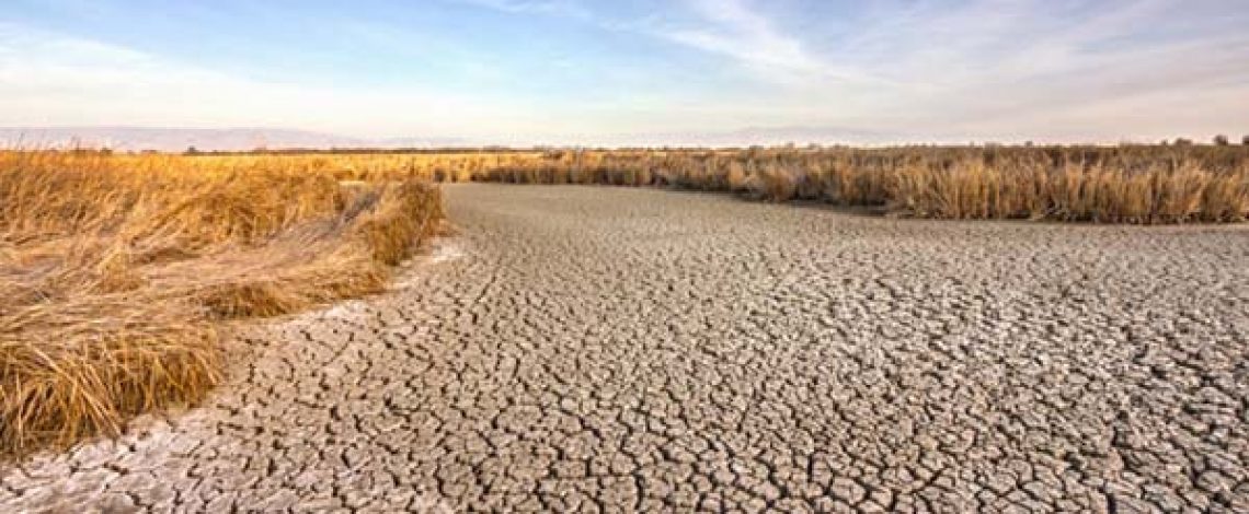 Acciones ante las distintas perspectivas ambientales en la agricultura