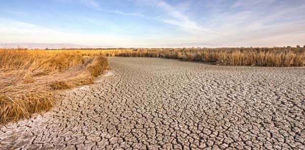 imagen de un lecho de río seco