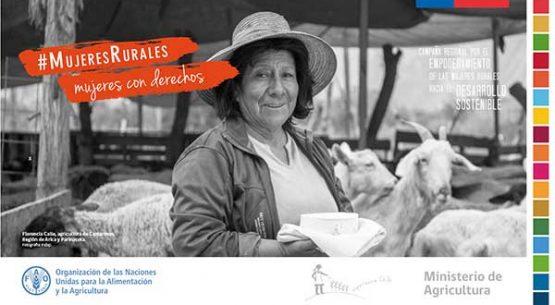 Informe final: Mujer agrícola y políticas públicas en Chile