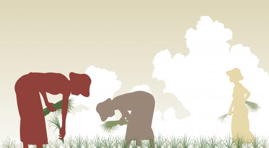 Sence invita a mujeres de las regiones de Valparaíso, Metropolitana, O´Higgins y Maule a postular a los más de 2.000 cupos de Capacitación Agrícola disponibles