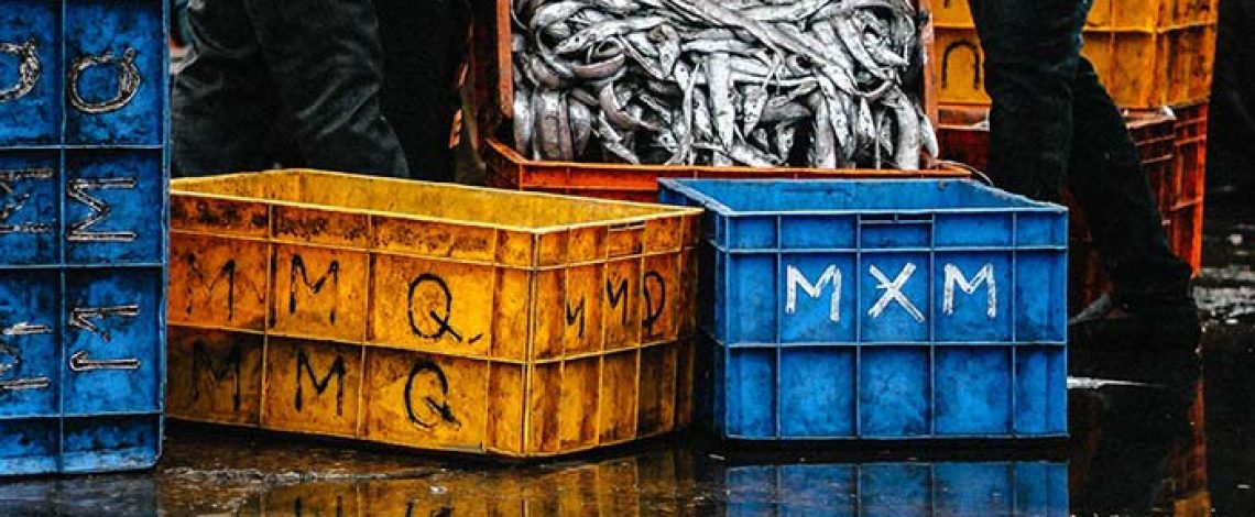 Sector pesquero: evolución de sus desembarques, uso y exportación en las últimas décadas. Febrero 2014