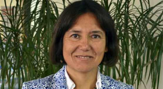 Hoy asumió nueva Directora de Odepa, Claudia Carbonell