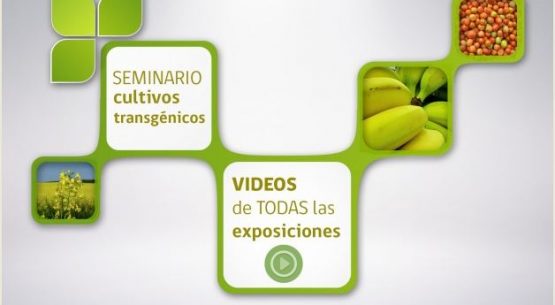 Todos los videos del seminario internacional “cultivos transgénicos: realidad y controversia”