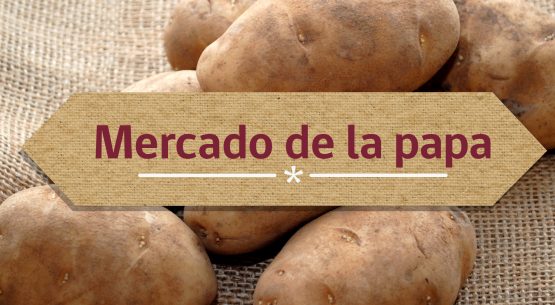 Mercado de la papa
