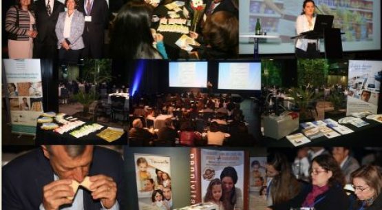 Industria base cereales reafirma la relevancia de trabajar en reducción de ingredientes críticos en los alimentos.