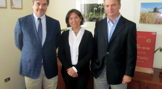 Reunión de directora de Odepa con representantes de Fedefruta