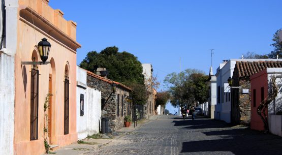 Ministros de Agricultura se reunirán en Uruguay para la XXVII Reunión Ordinaria del CAS