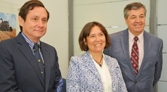 Directora de Odepa recibió a representantes de Asoex