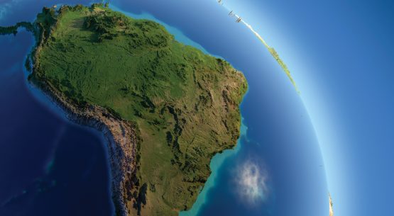 Evolución de las exportaciones silvoagropecuarias de Chile, 2004-2013