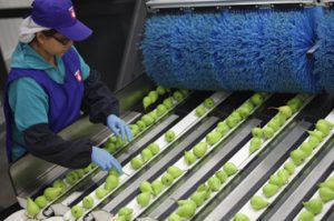 Empleo en la agricultura