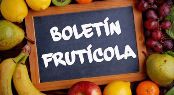 Boletín frutícola. Junio 2014