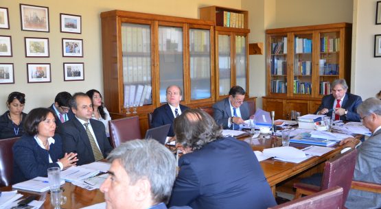 Directora de Odepa expuso en la Comisión de Agricultura del Senado