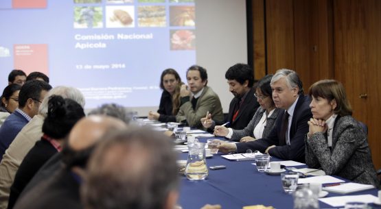 Ministro Furche encabezó primera sesión de la Comisión Nacional Apícola