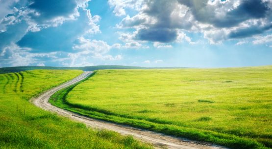 Hoy se constituyó el “Comité intraministerial de asuntos ambientales” del Ministerio de Agricultura