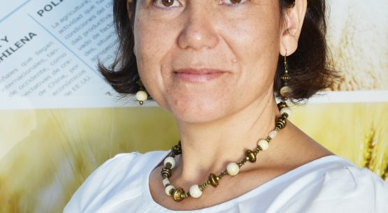 En la entrevista radial de Odepa, directora de Odepa, Claudia Carbonell, entrega los lineamientos institucionales