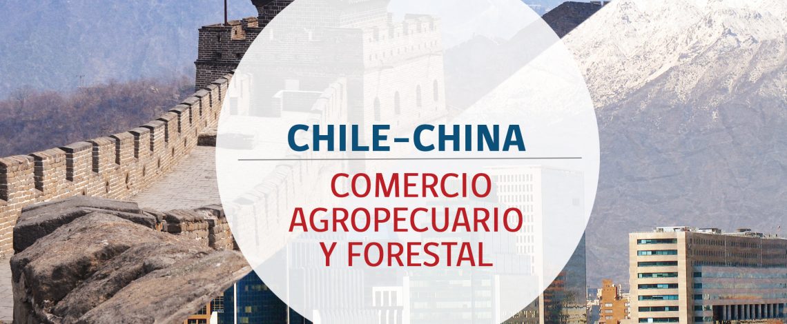 El comercio bilateral silvoagropecuario entre Chile y China, este primer semestre, alcanzó  USD 2.960 millones en exportaciones