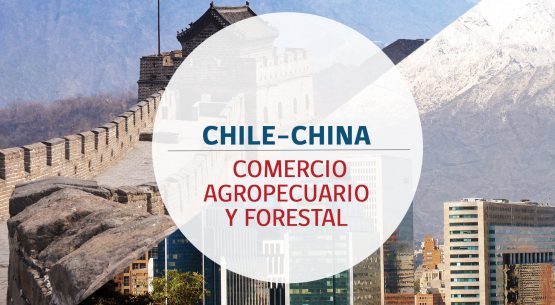 Chile–China: comercio agropecuario y forestal. Junio 2014