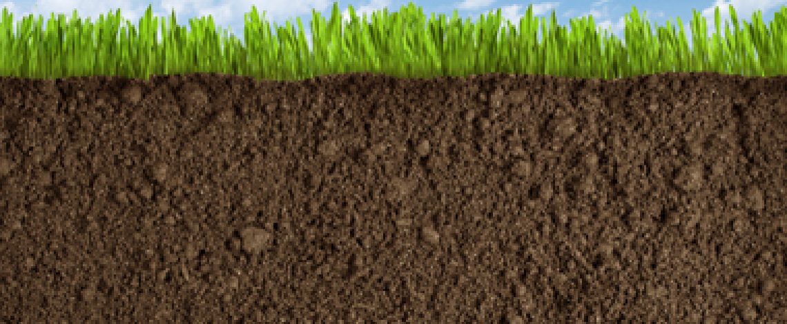 Propuesta para el diseño de la tabla de valores de prácticas asociadas al Sistema de Incentivos para la Gestión Sostenible de Suelos Agropecuarios (SIGESS)