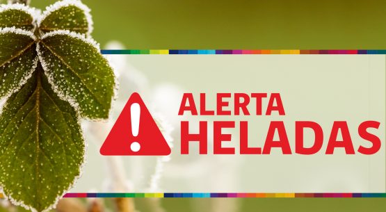 Alerta de heladas